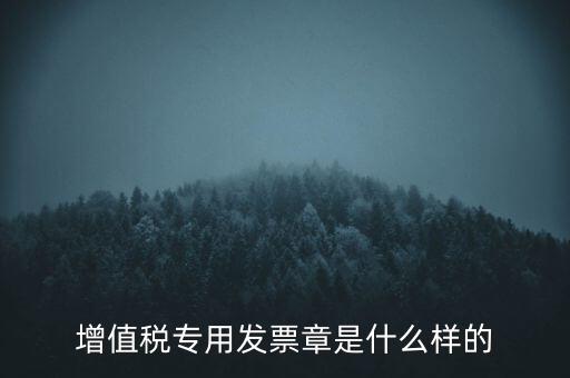增值稅專(zhuān)用發(fā)票章是什么樣的