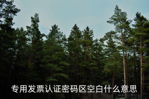 河南發(fā)票密碼是什么意思，專用發(fā)票認證密碼區(qū)空白什么意思