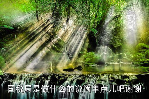 什么是國際稅務(wù)局，國際稅務(wù)是什么