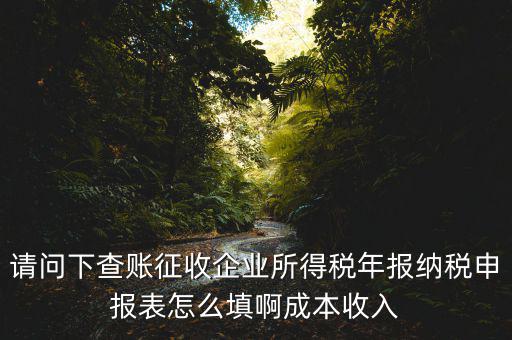 企業(yè)所得稅申報(bào)查賬是什么表，剛注冊了一個(gè)小規(guī)模的公司企業(yè)所得稅是查帳征收企業(yè)所得稅報(bào)表
