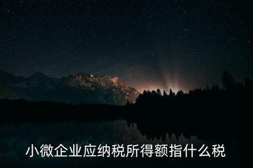 小微企業(yè)繳納什么稅，小型微利企業(yè)有什么稅要交