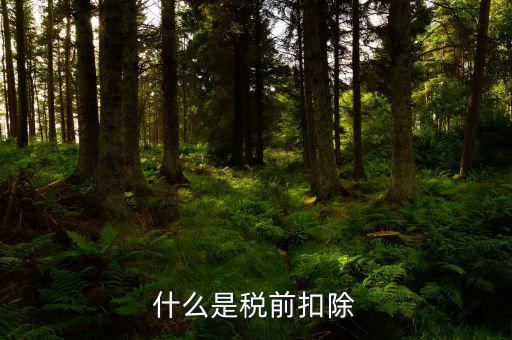 什么是所得稅前扣除，什么是稅前扣除