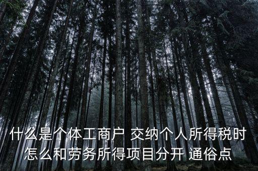 什么叫個體工商戶經營所得，個體工商戶的生產經營所得是指什么