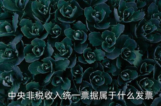 非稅發(fā)票是什么，中央非稅收入統(tǒng)一票據(jù)屬于什么發(fā)票