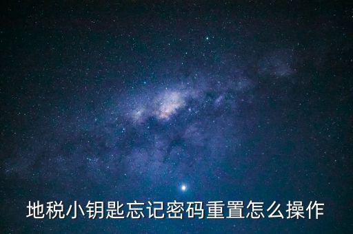 地稅密碼重置需要什么，地稅網(wǎng)上納稅申報密碼忘記了