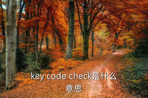 國稅key的pin碼是什么意思，機構(gòu)代碼的ca證書的PIN碼是什么我用CA證書登陸國稅時提示詳細