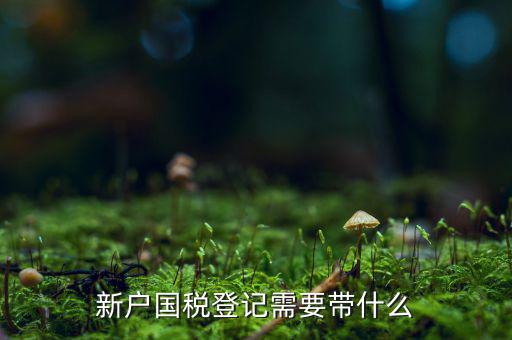 稅務新開戶需要帶什么東西，新戶國稅登記需要帶什么
