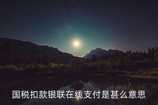 稅務(wù)銀聯(lián)快捷繳費(fèi)是什么意思，國稅扣款銀聯(lián)在線支付是甚么意思