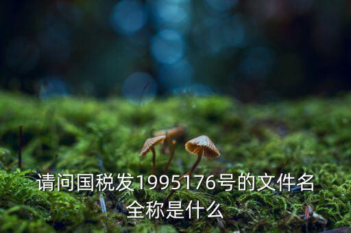 國(guó)稅初始化文件是什么字頭，稅務(wù)申報(bào)材料初始化是什么意思