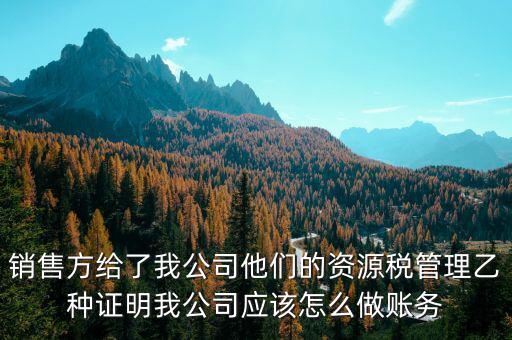 什么叫資源稅甲乙種證明，銷售方給了我公司他們的資源稅管理乙種證明我公司應(yīng)該怎么做賬務(wù)