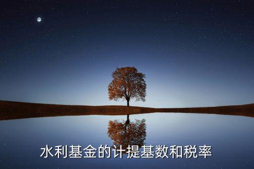 水利基金計算基數(shù)是什么意思，水利基金的計提基數(shù)和稅率