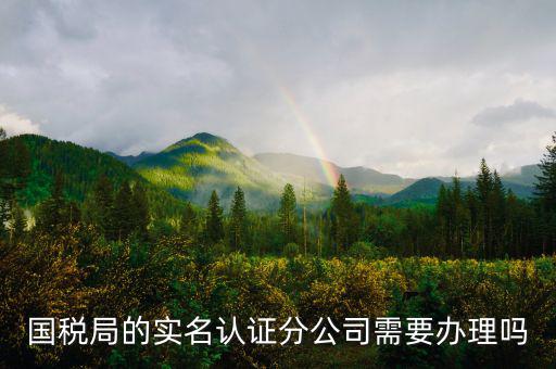 四川國(guó)稅局實(shí)名認(rèn)證需要什么手續(xù)，在國(guó)稅局辦理法人實(shí)名制認(rèn)證要帶什么材料