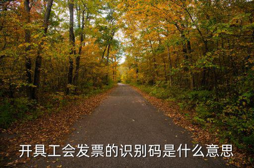 河北省發(fā)票識(shí)別碼是什么意思，開(kāi)票方識(shí)別號(hào)是什么意思