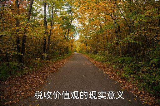 稅務(wù)精神凝聚著什么用，稅收價值觀的現(xiàn)實意義