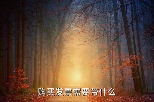 長(zhǎng)春購(gòu)置發(fā)票需要什么資料，初次購(gòu)買發(fā)票要什么資料