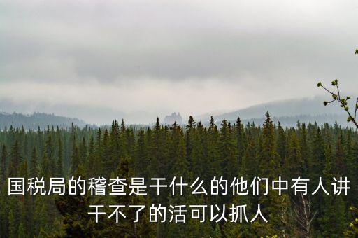 國稅局查什么的，國稅局的稽查是干什么的他們中有人講干不了的活可以抓人