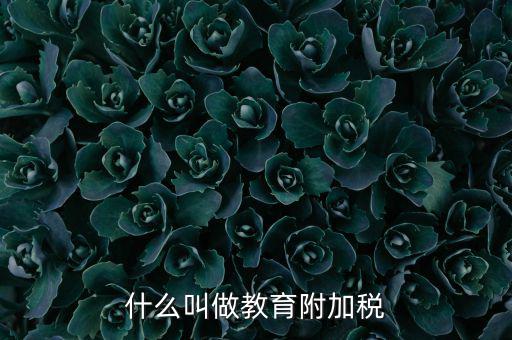 教育附加什么意思，教育費附加代表什么意思