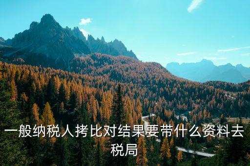 去稅務(wù)拷初始化文件帶什么東西，一般納稅人拷比對(duì)結(jié)果要帶什么資料去稅局