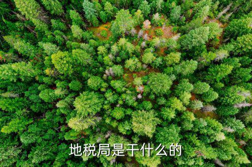 地稅主要負責(zé)什么工作總結(jié)，地稅局一般做什么工作啊