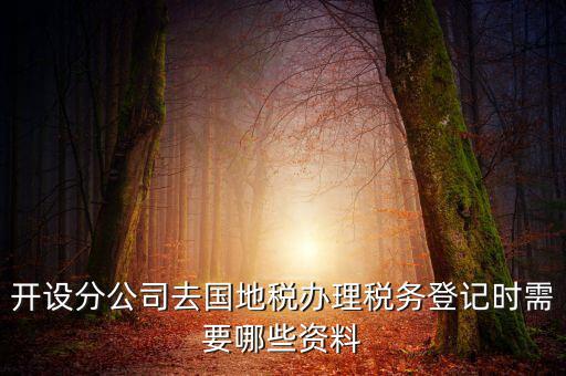 分公司地稅辦理需要什么材料，辦理分公司的稅務(wù)登記證需要準(zhǔn)備哪些資料