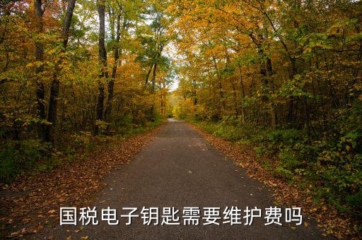 辦稅鑰匙是什么意思，網(wǎng)上報(bào)稅請(qǐng)插入電子令牌是什么意思