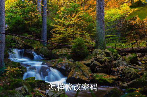 怎樣改國(guó)稅密碼是什么，山東省國(guó)家稅務(wù)局網(wǎng)上辦稅平臺(tái)納稅人的密碼怎么改