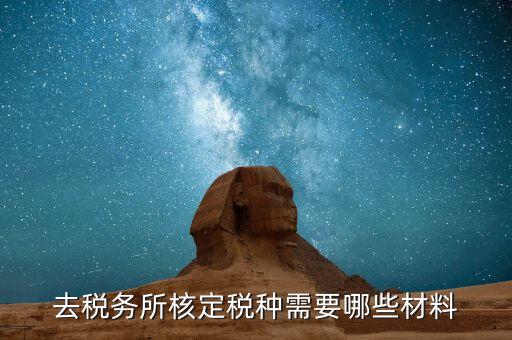 國稅票種核定需要什么，哪些情況下要進(jìn)行國稅票種核定