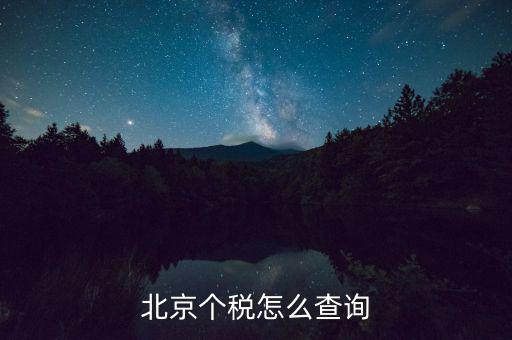 北京個(gè)稅怎么查詢(xún)