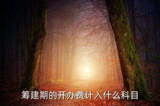 公司籌建期的費用計入什么科目，籌建期的開辦費計入什么科目