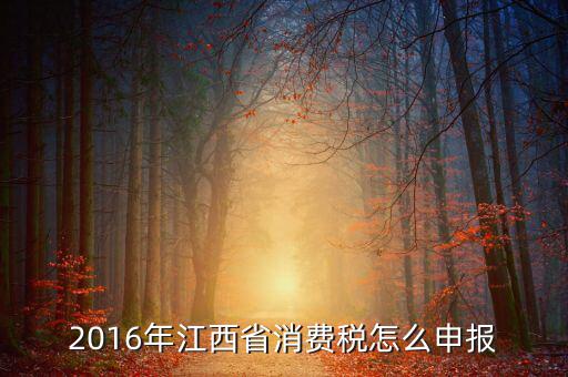 江西什么時(shí)候國(guó)地聯(lián)合辦稅，請(qǐng)問(wèn)國(guó)地稅什么時(shí)候合并