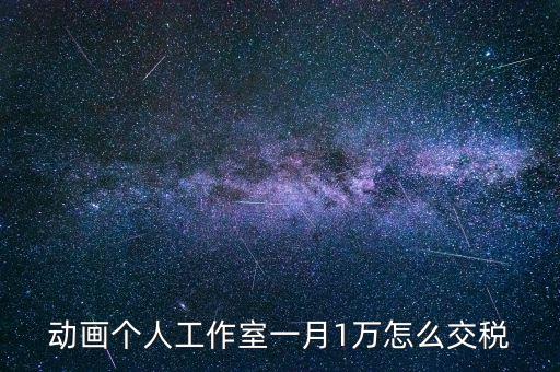 工作室如何繳納個稅，動畫個人工作室一月1萬怎么交稅
