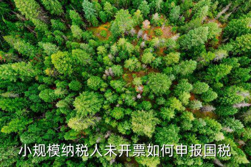 不征稅發(fā)票 如何申報，零星的銷售對方不要發(fā)票怎么報稅