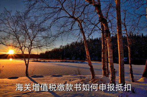 海關(guān)增值稅如何抵扣，海關(guān)增值稅繳款書(shū)如何申報(bào)抵扣