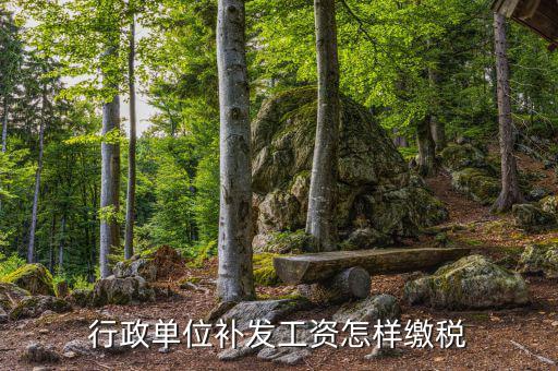 補(bǔ)發(fā)工資如何計(jì)稅，我16個(gè)月未領(lǐng)工資現(xiàn)在一次性補(bǔ)發(fā)個(gè)稅怎么繳納