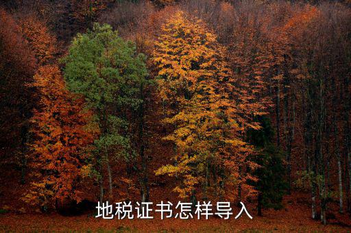 如何安裝深圳地稅證書，地稅證書怎樣導入