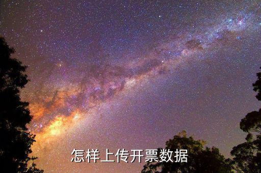 如何上傳進(jìn)項(xiàng)發(fā)票明細(xì)，怎樣上傳開(kāi)票數(shù)據(jù)