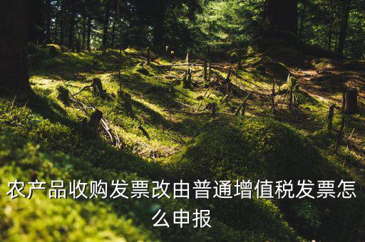農(nóng)產(chǎn)品收購發(fā)票如何申報(bào)，農(nóng)產(chǎn)品收購發(fā)票如何開