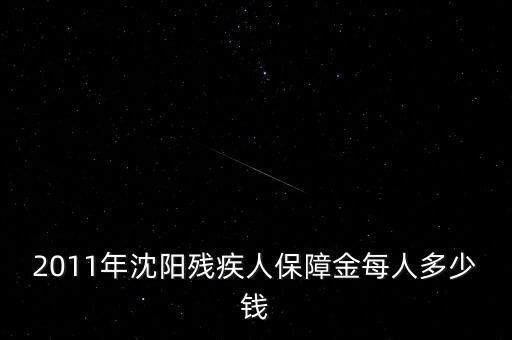 沈陽市殘疾人保障金如何計算，2011年沈陽殘疾人保障金每人多少錢