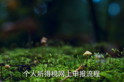 如何網(wǎng)上申請(qǐng)個(gè)稅，個(gè)人所得稅網(wǎng)上申報(bào)流程