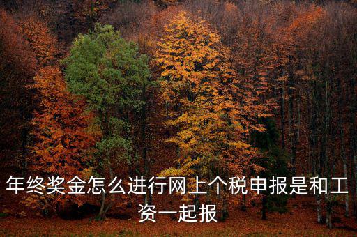 年終獎(jiǎng)個(gè)稅如何申報(bào)，年終獎(jiǎng)怎樣申報(bào)個(gè)稅