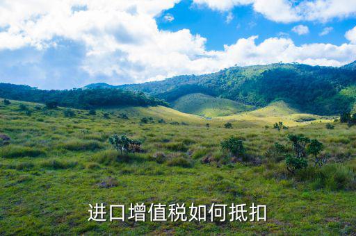進(jìn)口增值稅 發(fā)生退運(yùn) 如何抵扣，進(jìn)口增值稅的抵扣