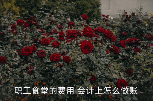公司食堂費用如何入賬，職工食堂費用如何入賬