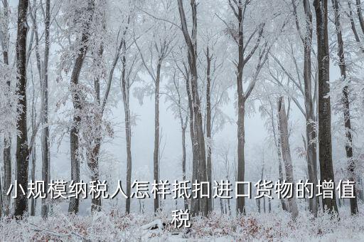 小規(guī)模如何抵扣進(jìn)項(xiàng)，小規(guī)模增值稅怎么抵扣