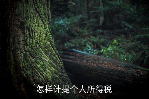 個人所得稅如何計提，如何計提個人所得稅