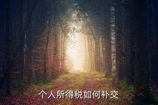 個稅如何補(bǔ)繳，個人所得稅如何補(bǔ)交