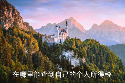 如何查看自己交稅，怎么查自己交了多少稅