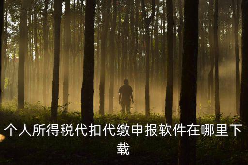 代扣代繳國稅如何申報(bào)系統(tǒng)下載，國稅增值稅小規(guī)模稅務(wù)電子申報(bào)軟件在哪里下載呢