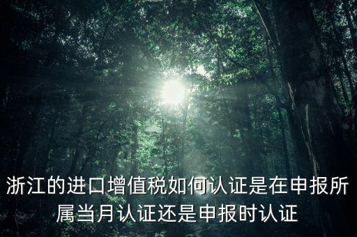 浙江國(guó)稅進(jìn)口發(fā)票如何認(rèn)證，浙江的進(jìn)口增值稅如何認(rèn)證是在申報(bào)所屬當(dāng)月認(rèn)證還是申報(bào)時(shí)認(rèn)證