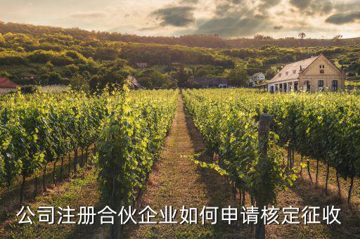 如何申請核定征收，如何申請小規(guī)模納稅人核定征收方式要走那些程序