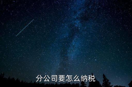 分支機構如何納稅，分支機構增值稅怎樣繳納